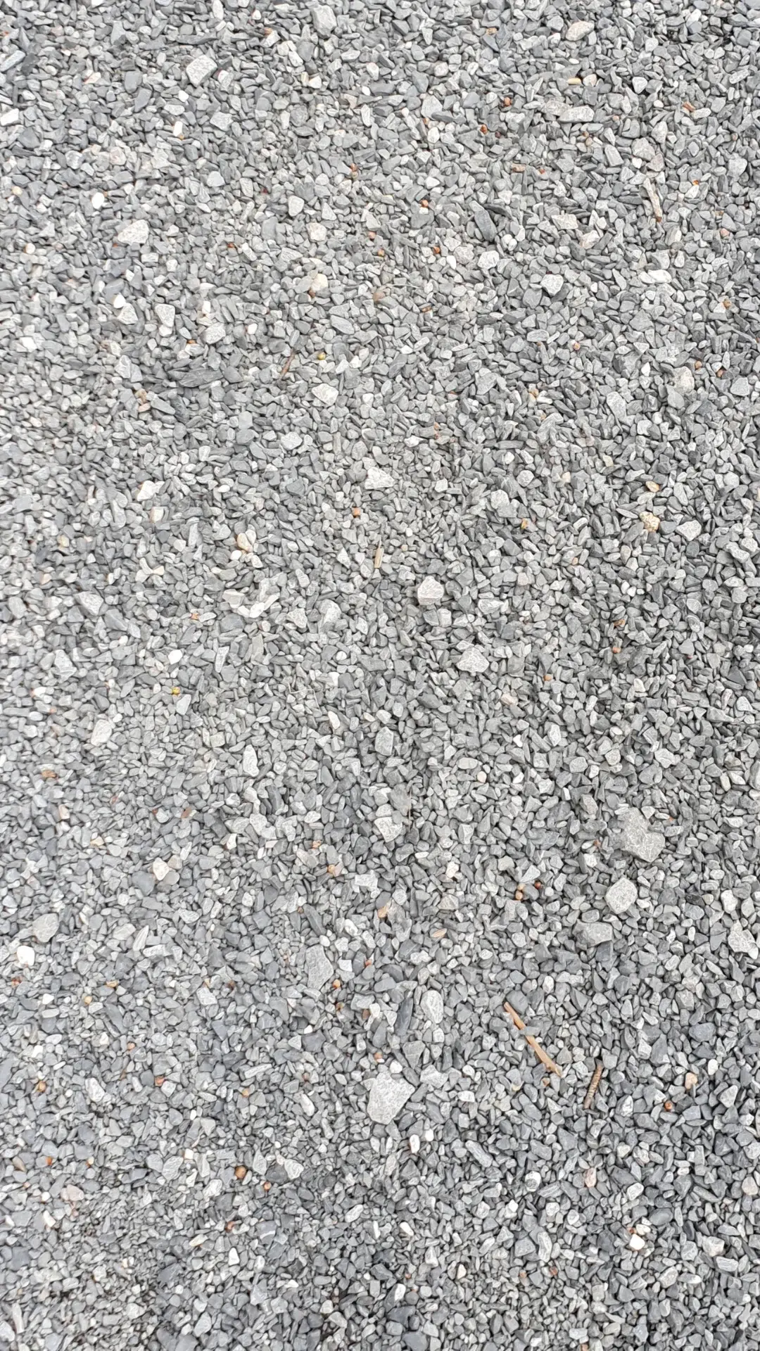 Exposed Aggregate & Buff Wash